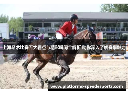 上海马术比赛五大看点与精彩瞬间全解析 助你深入了解赛事魅力