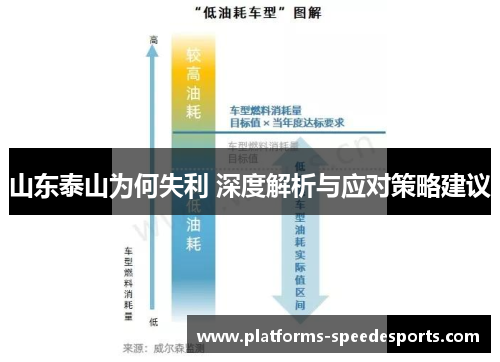 山东泰山为何失利 深度解析与应对策略建议