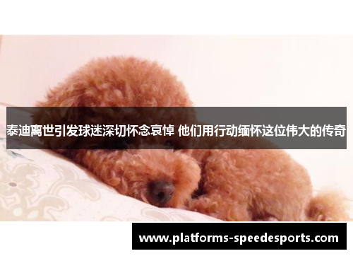 泰迪离世引发球迷深切怀念哀悼 他们用行动缅怀这位伟大的传奇