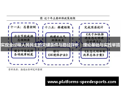 实现全过程人民民主的关键条件与路径探析：理论基础与实践举措