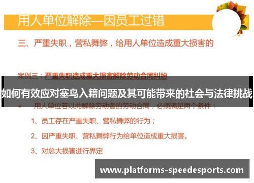 如何有效应对塞鸟入籍问题及其可能带来的社会与法律挑战
