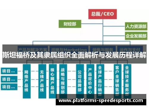 斯坦福桥及其隶属组织全面解析与发展历程详解