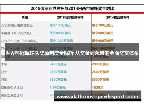 世界杯冠军球队奖励制度全解析 从奖金到荣誉的全面奖赏体系