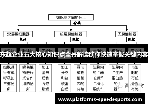 东超企业五大核心知识点全景解读助你快速掌握关键内容