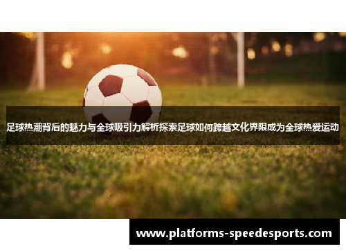 足球热潮背后的魅力与全球吸引力解析探索足球如何跨越文化界限成为全球热爱运动