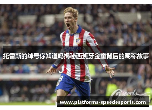托雷斯的绰号你知道吗揭秘西班牙金童背后的昵称故事