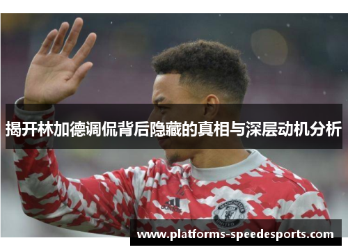 揭开林加德调侃背后隐藏的真相与深层动机分析